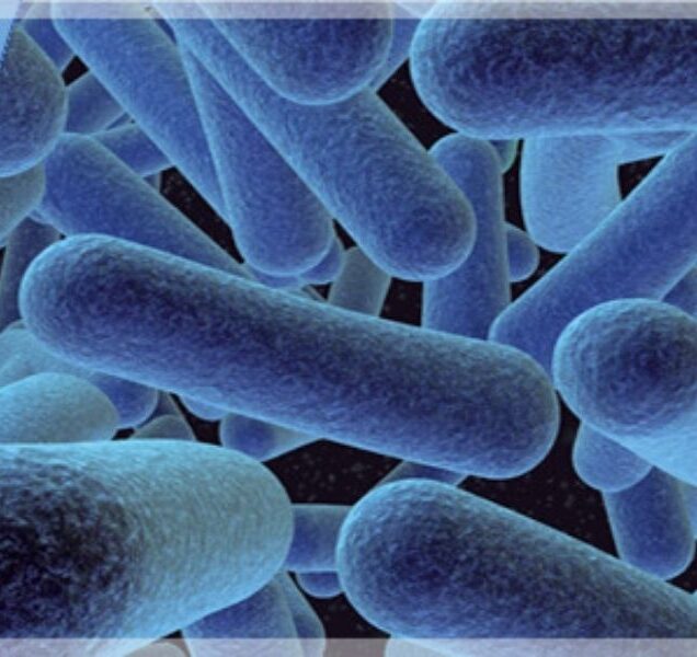Soluciones técnicas para la prevención y control de la bacteria Legionella en Alicante.